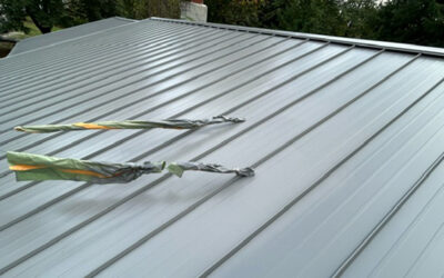 Paint Your Metal Roof to Seal it and Improve the Look!